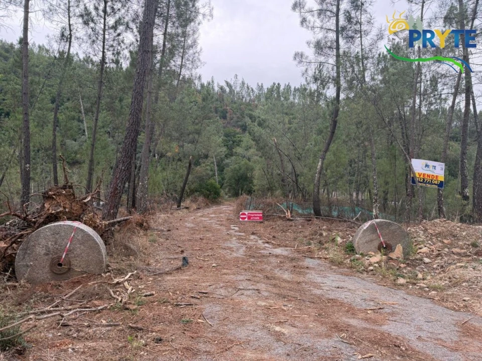 Armazém para Venda em Sertã Foto 45