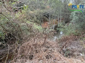 Armazém para Venda em Sertã