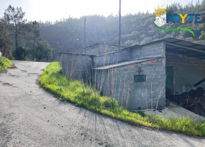 Armazém para Venda em Sertã Foto 5