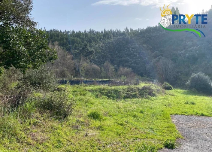 Armazém para Venda em Sertã Foto 7