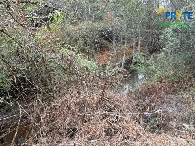 Armazém para Venda em Sertã Foto 43