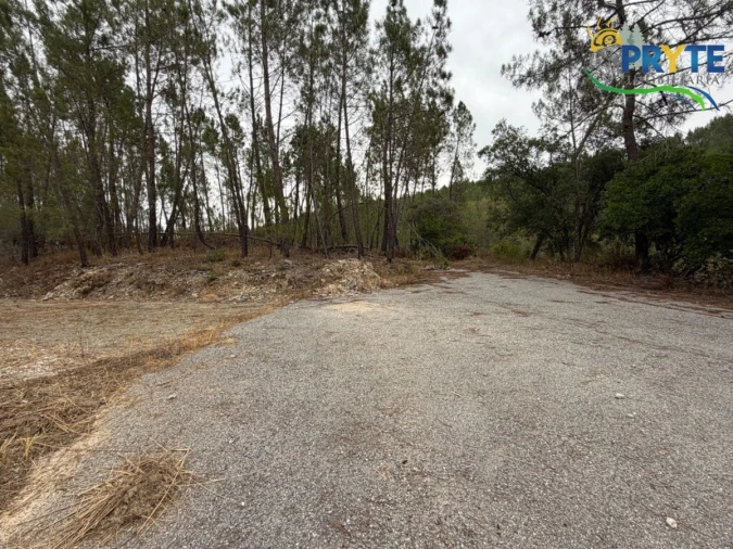 Armazém para Venda em Sertã Foto 44