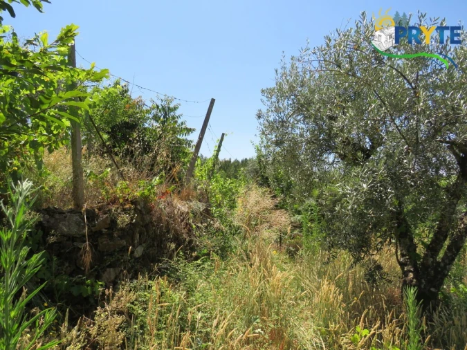 Moradia T1 para Venda em Gois Foto 20