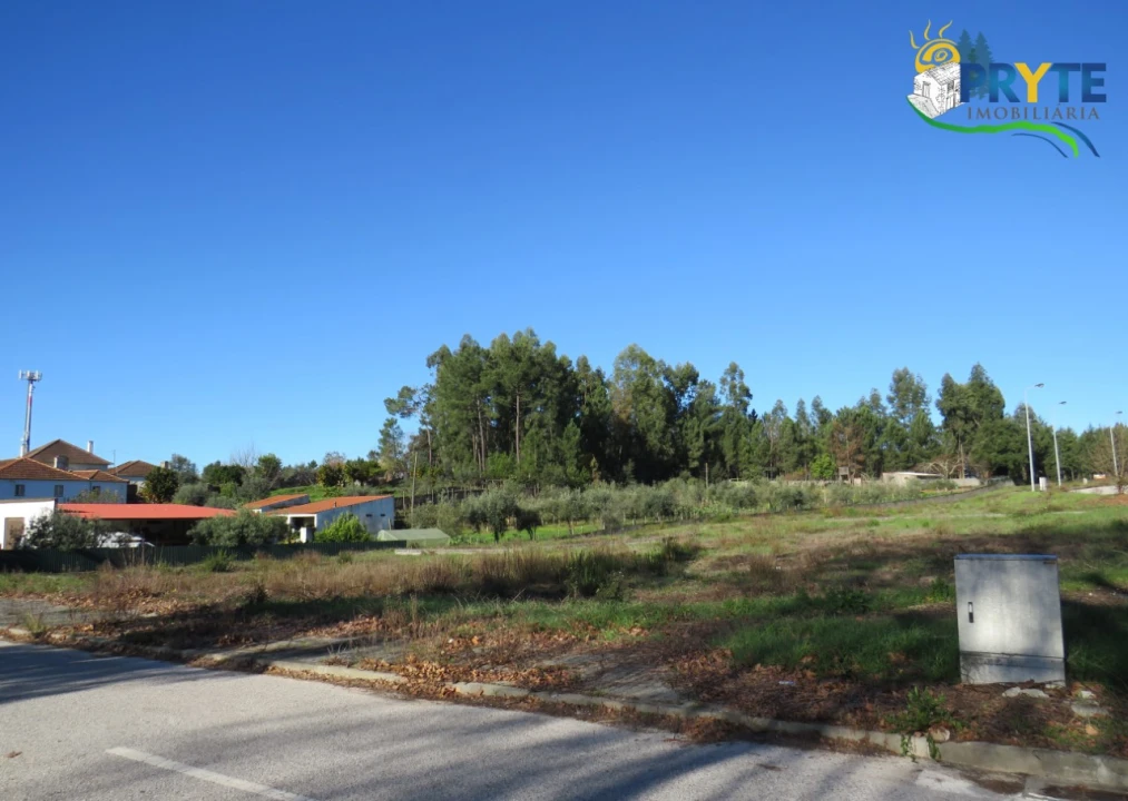 Terreno para Venda em Cernache do Bonjardim, Nesperal e Palhais Foto 3
