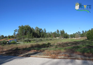 Terreno para Venda em Cernache do Bonjardim, Nesperal e Palhais