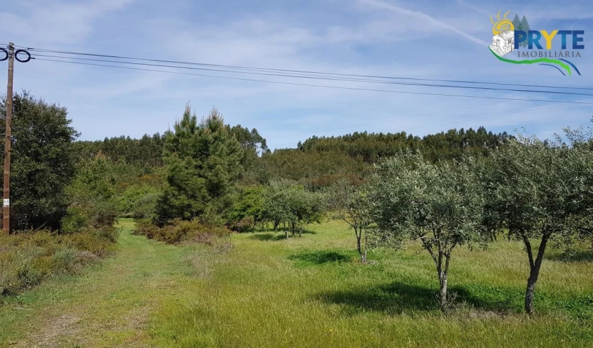 Terreno para Venda em Cumeada e Marmeleiro