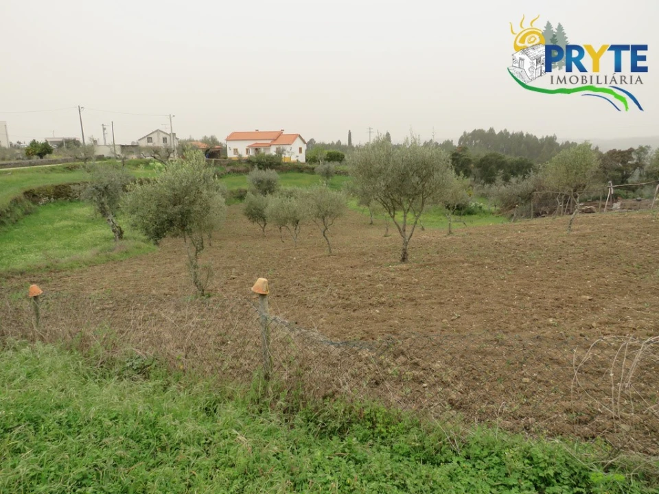 Terreno para Venda em Cumeada e Marmeleiro Foto 2