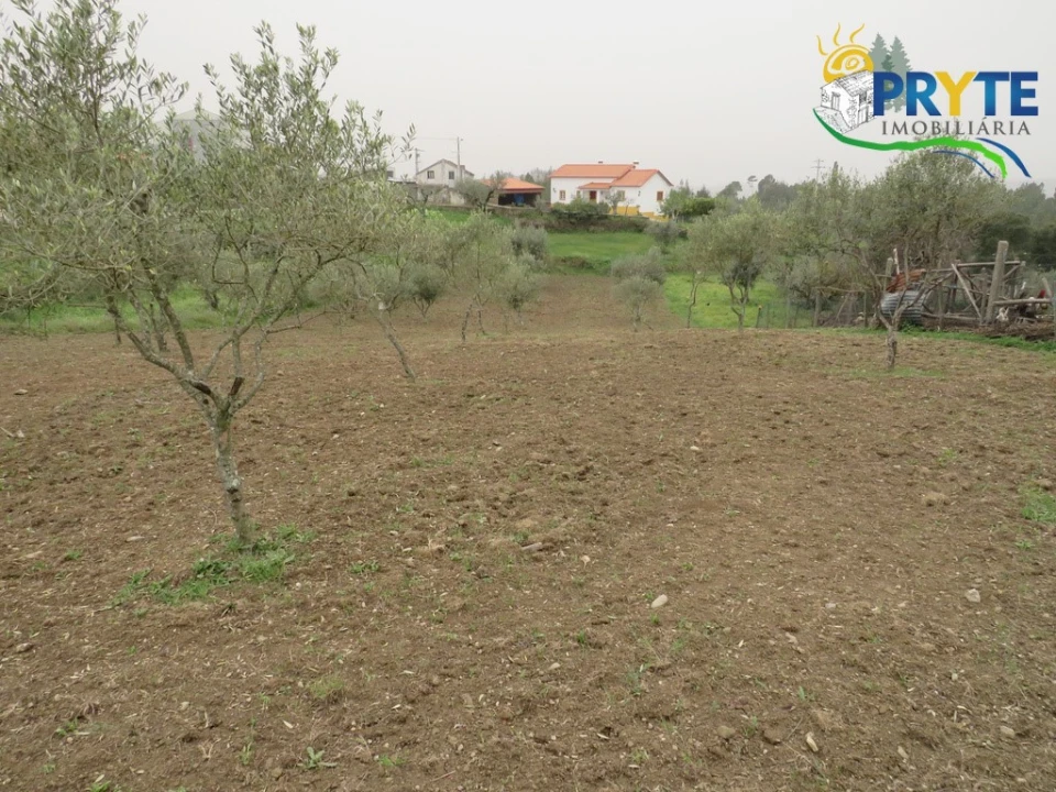 Terreno para Venda em Cumeada e Marmeleiro Foto 3