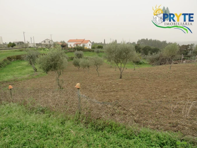 Terreno para Venda em Cumeada e Marmeleiro Foto 2