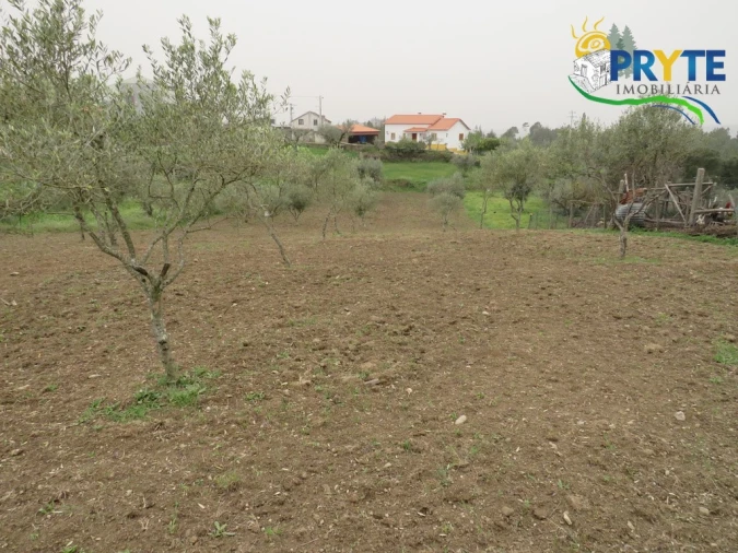 Terreno para Venda em Cumeada e Marmeleiro Foto 3