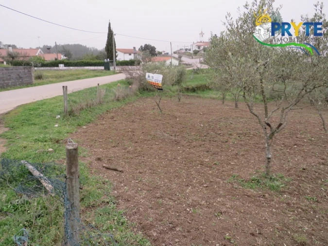 Terreno para Venda em Cumeada e Marmeleiro Foto 4