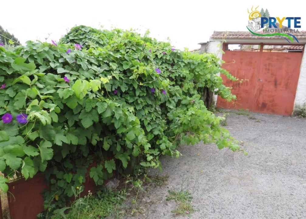 Terreno para Venda em Pedrogão Grande Foto 5