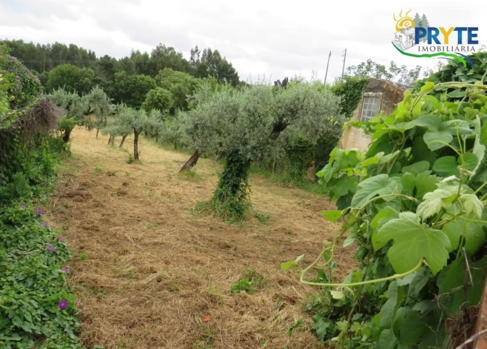 Terreno para Venda em Pedrogão Grande Foto 4