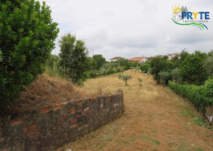 Terreno para Venda em Pedrogão Grande Foto 11