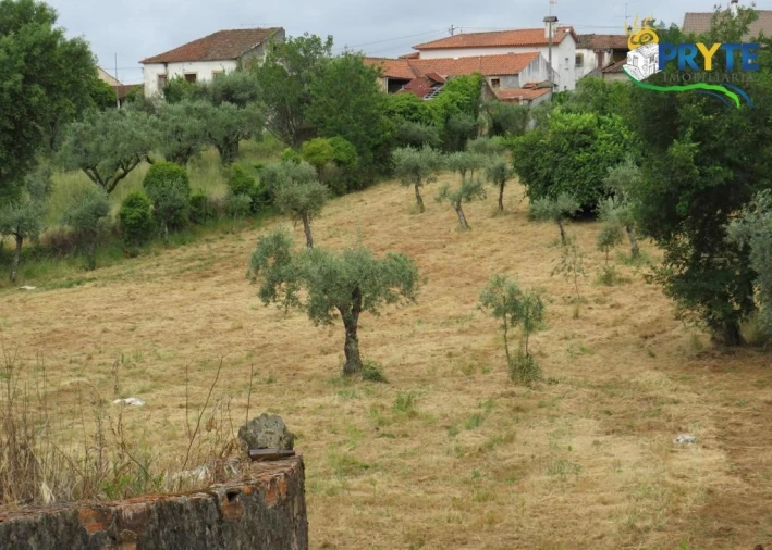 Terreno para Venda em Pedrogão Grande Foto 13