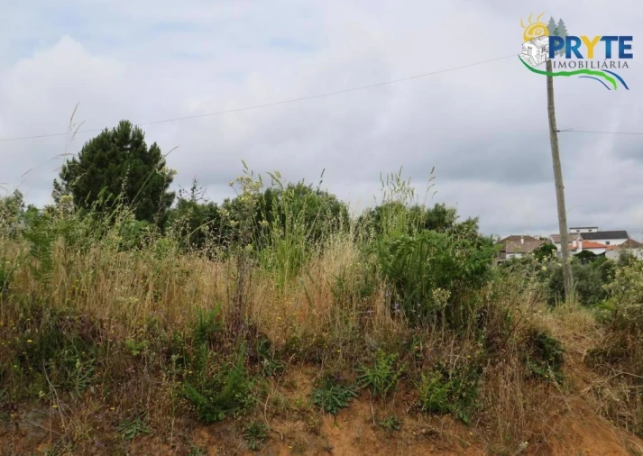 Terreno para Venda em Pedrogão Grande Foto 19