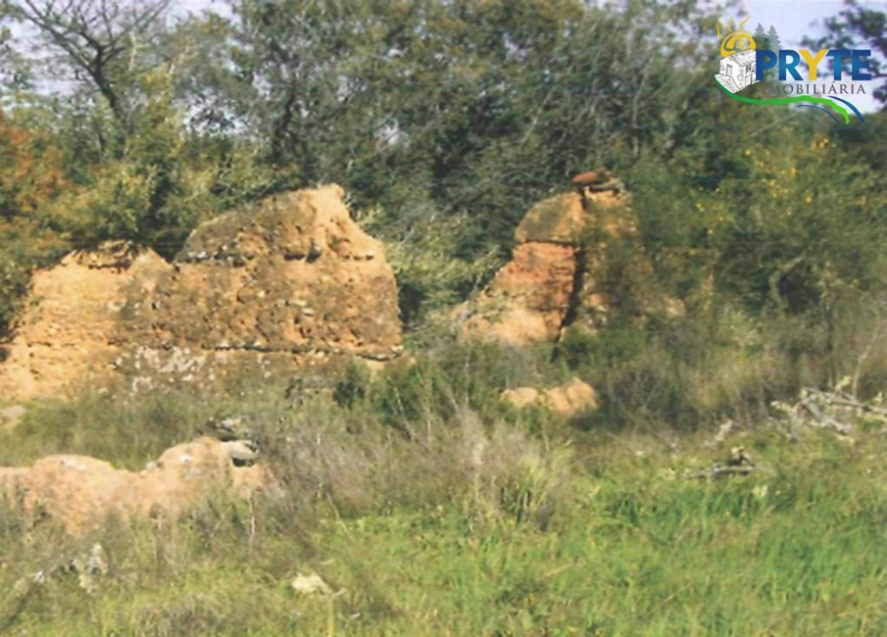 Terreno para Venda em Rosmaninhal Foto 2