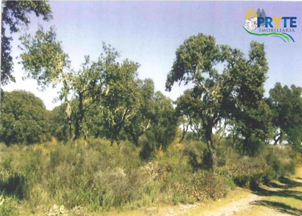 Terreno para Venda em Rosmaninhal Foto 3