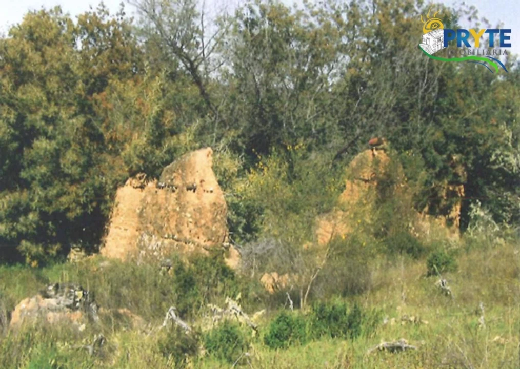 Terreno para Venda em Rosmaninhal Foto 4