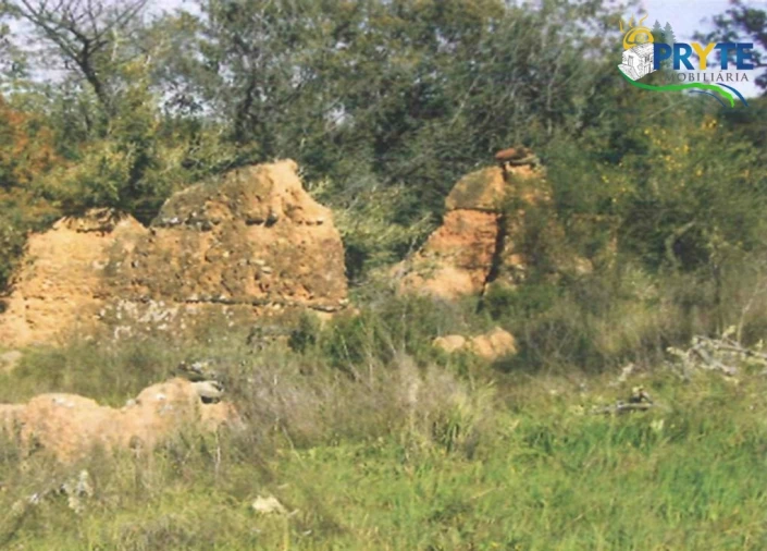 Terreno para Venda em Rosmaninhal Foto 2