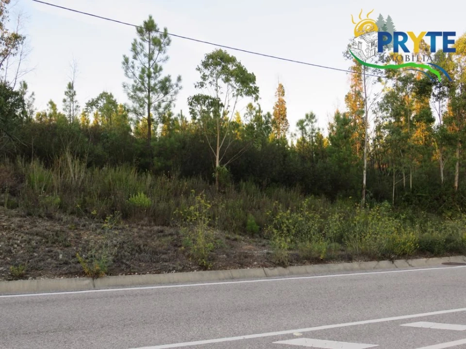 Terreno para Venda em Cumeada e Marmeleiro Foto 2