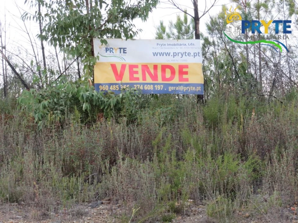 Terreno para Venda em Cumeada e Marmeleiro Foto 6