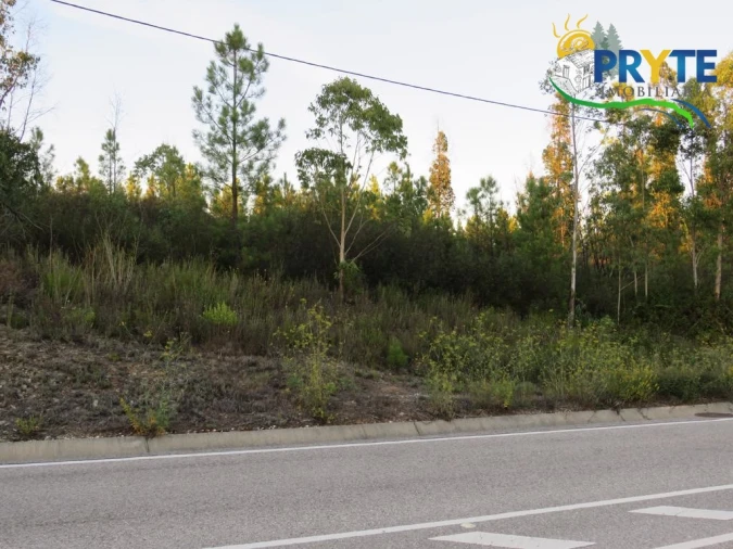 Terreno para Venda em Cumeada e Marmeleiro Foto 2