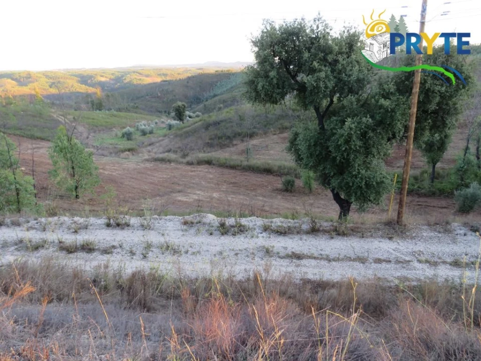 Terreno para Venda em Cumeada e Marmeleiro Foto 1