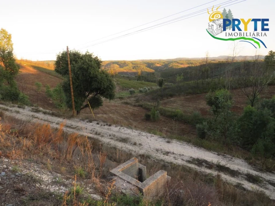 Terreno para Venda em Cumeada e Marmeleiro Foto 5