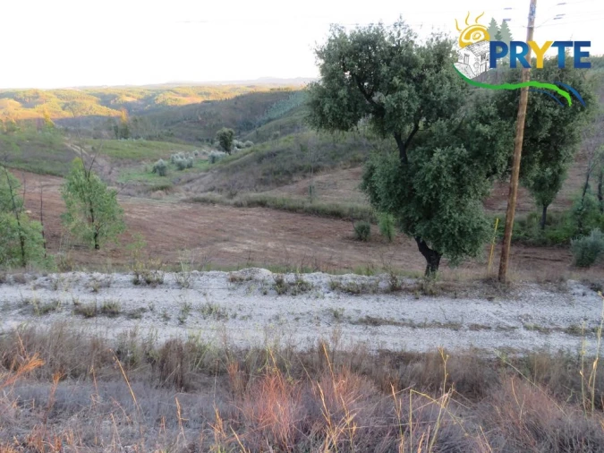 Terreno para Venda em Cumeada e Marmeleiro