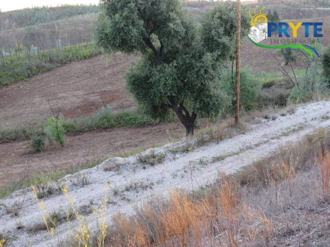 Terreno para Venda em Cumeada e Marmeleiro Foto 3