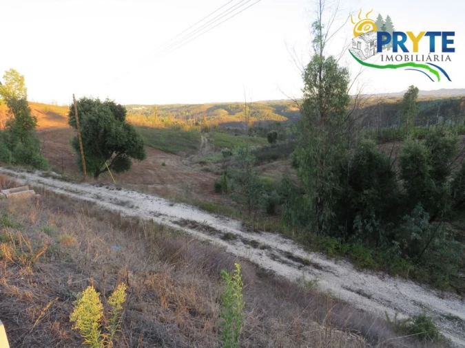 Terreno para Venda em Cumeada e Marmeleiro Foto 4