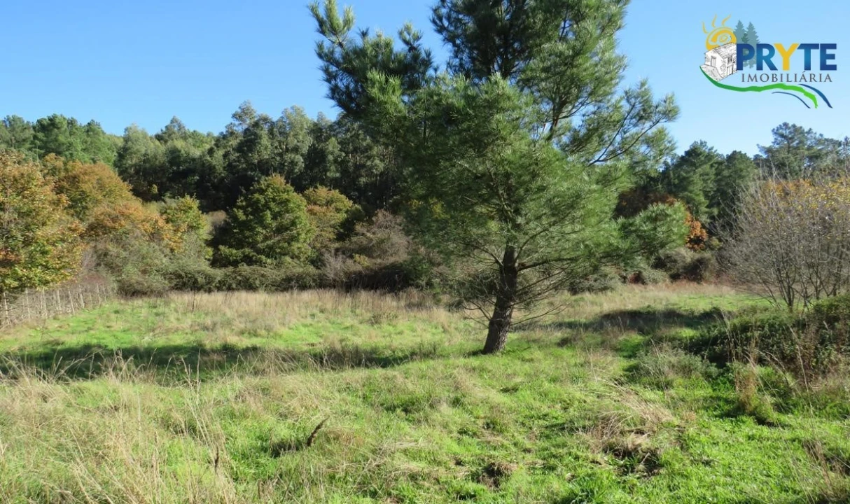 Terreno para Venda em Castanheira de Pêra e Coentral Foto 3