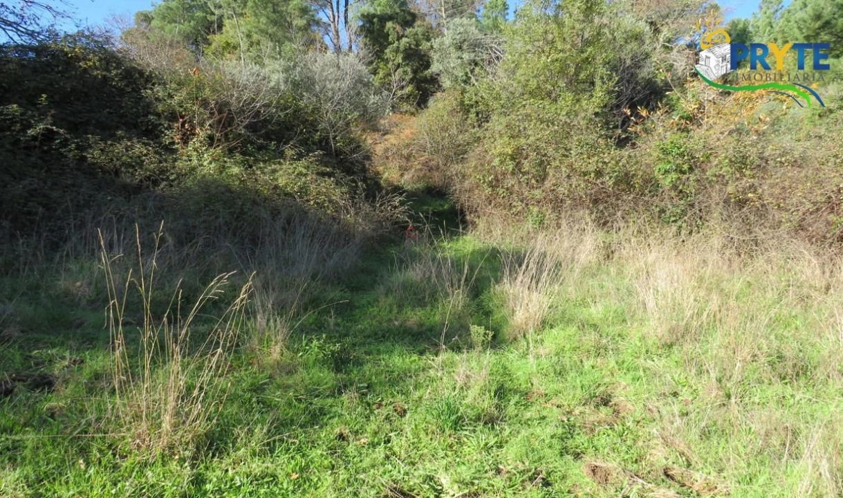 Terreno para Venda em Castanheira de Pêra e Coentral Foto 8