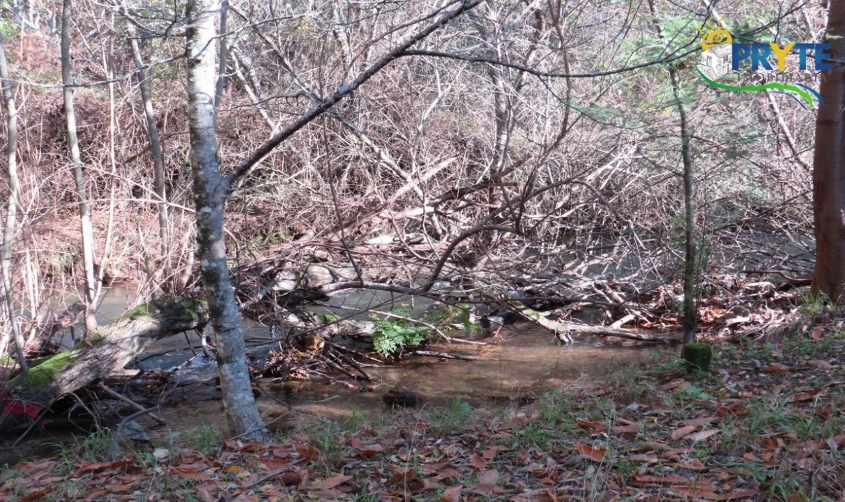Terreno para Venda em Castanheira de Pêra e Coentral Foto 10