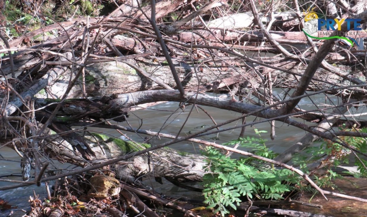 Terreno para Venda em Castanheira de Pêra e Coentral Foto 11