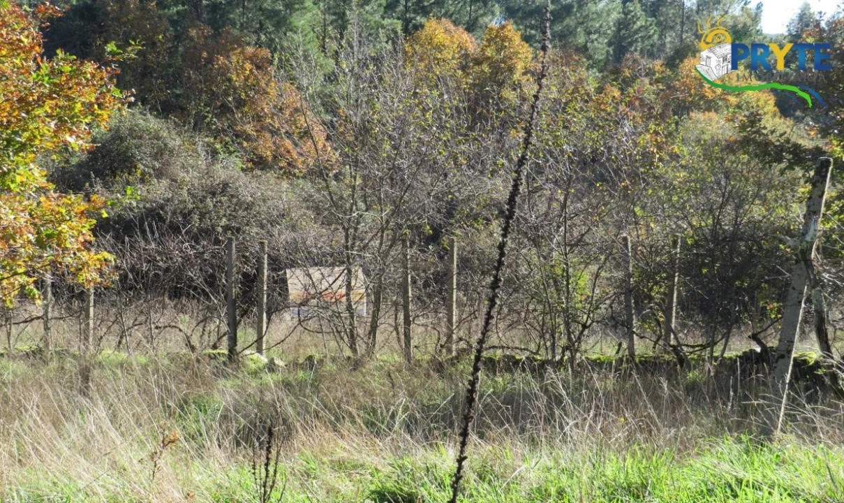 Terreno para Venda em Castanheira de Pêra e Coentral Foto 13