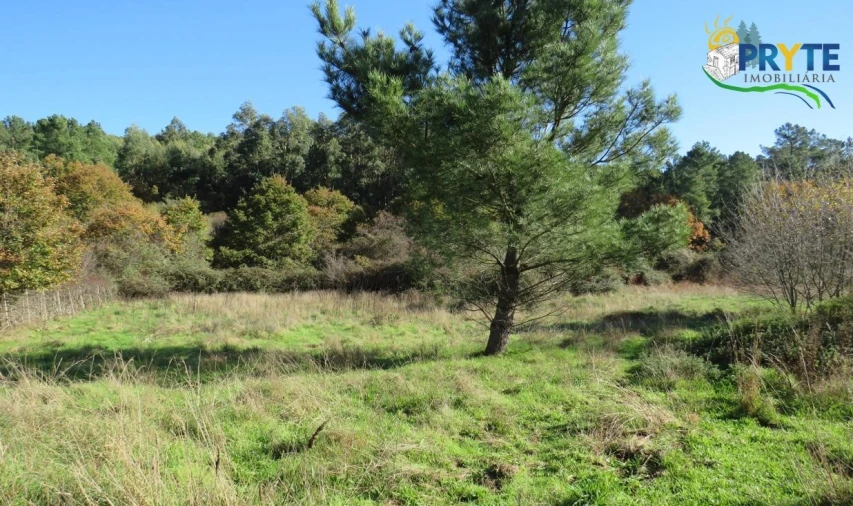 Terreno para Venda em Castanheira de Pêra e Coentral Foto 3