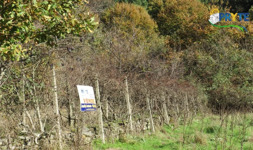 Terreno para Venda em Castanheira de Pêra e Coentral Foto 9