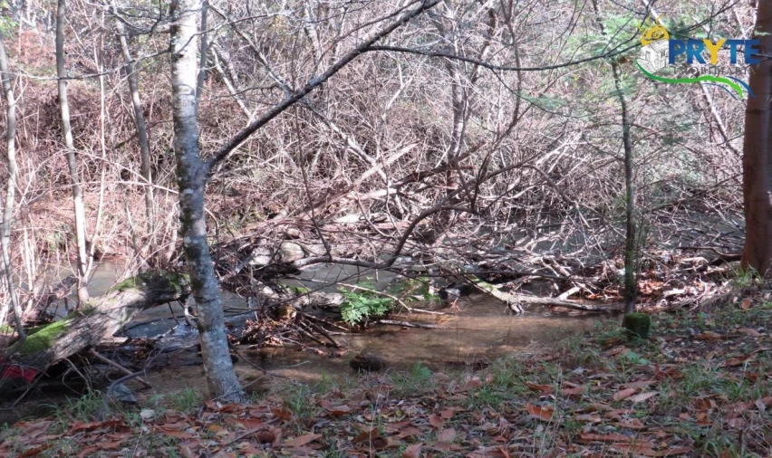Terreno para Venda em Castanheira de Pêra e Coentral Foto 10