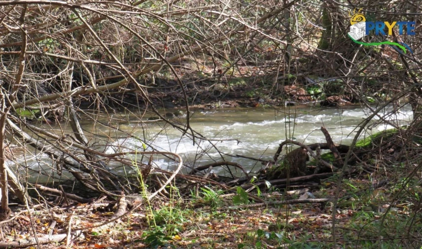 Terreno para Venda em Castanheira de Pêra e Coentral