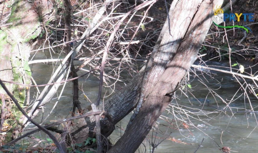 Terreno para Venda em Castanheira de Pêra e Coentral Foto 12