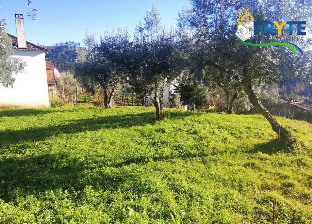 Terreno para Venda em Sertã Foto 2