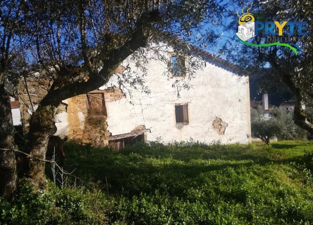 Terreno para Venda em Sertã Foto 5