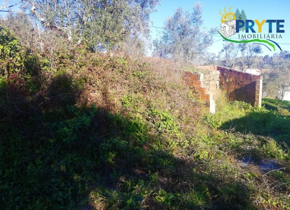 Terreno para Venda em Sertã Foto 6