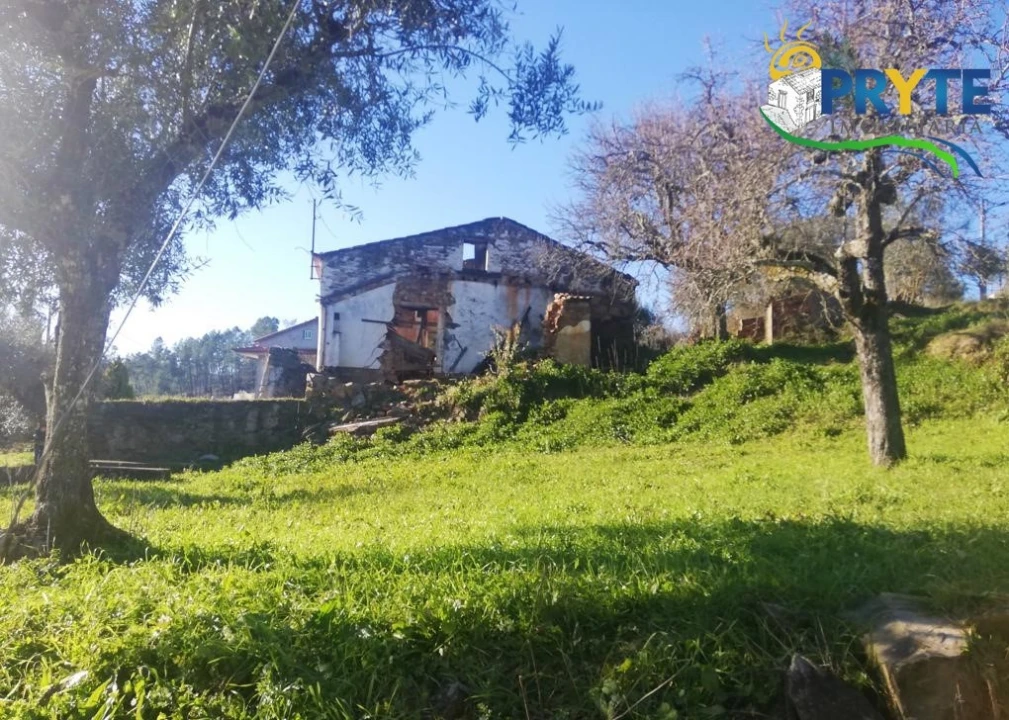Terreno para Venda em Sertã Foto 18