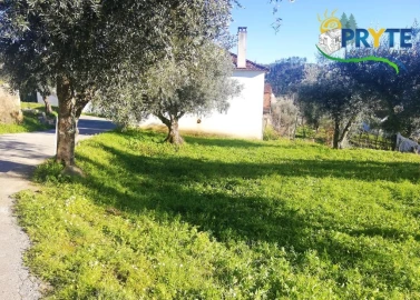 Terreno para Venda em Sertã