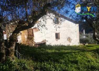 Terreno para Venda em Sertã