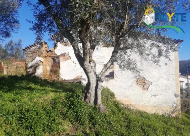 Terreno para Venda em Sertã