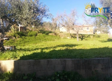 Terreno para Venda em Sertã